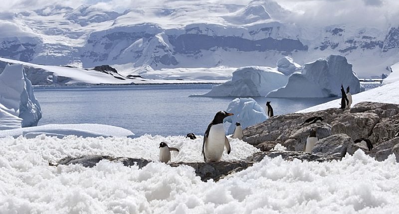 ¿Y si la Antártica se vuelve clave para Washington, Pekín o Moscú?