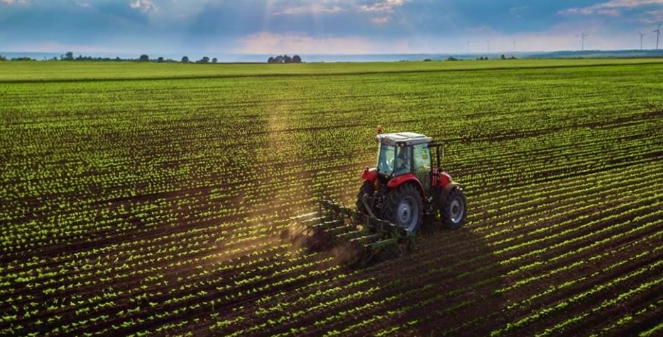 Agroindustria del Cono Sur: Tres casos y el desafío de China